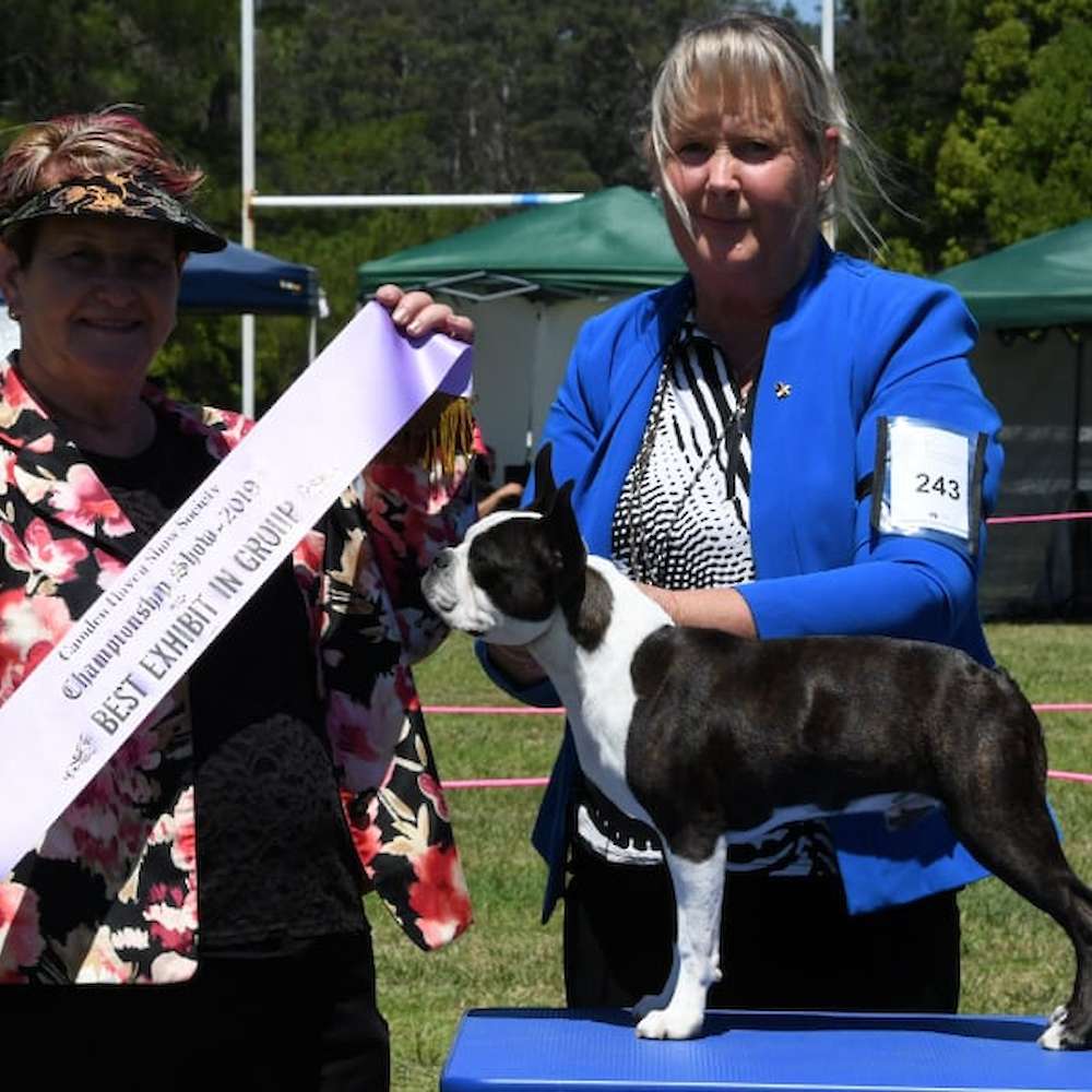 Camden Haven Show Society
