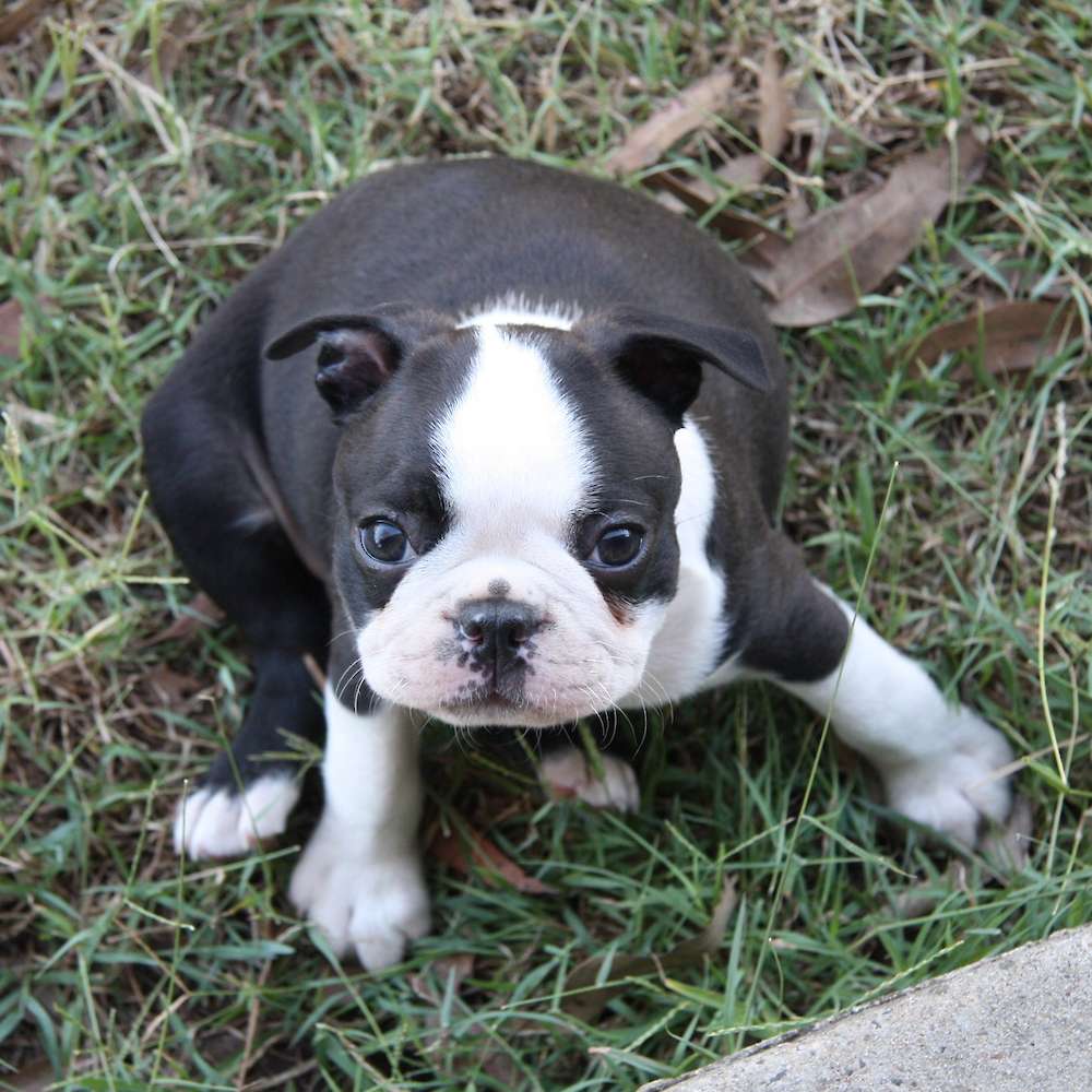 7 Weeks Old today!!