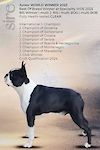 Multi EUR CHAMP. D'Iva Boston Sirius Victoria's Diamond 