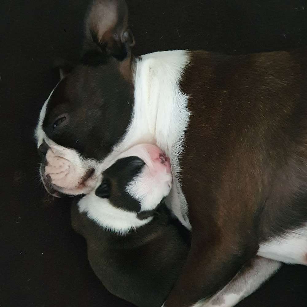 Ego's First Australian Babies Have Arrived