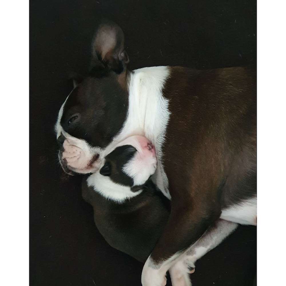 Ego's First Australian Babies Have Arrived